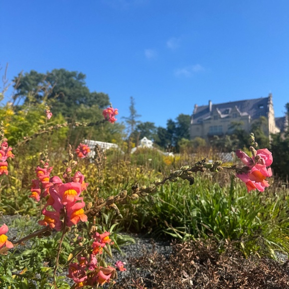 Meet your Posher, Michaela - Picture 1 of 1